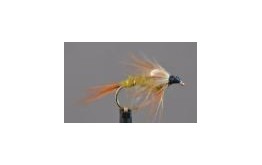 Olive Bodied Hares Ear