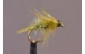 Olive Nymph