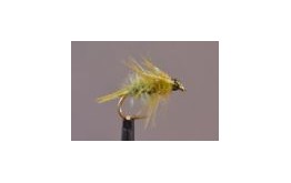 Olive Nymph