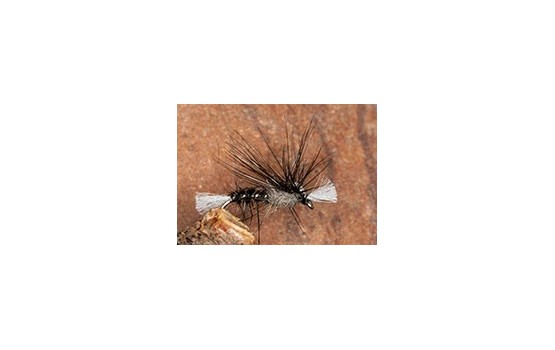 Crippled Midge Black