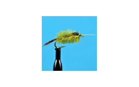 Ostrich Blue Wing Olive