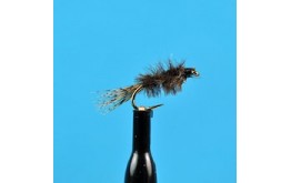 Ostrich Pale Morning Dun