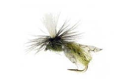 Parachute Caddis Emerger Olive