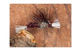 Crippled Midge Claret