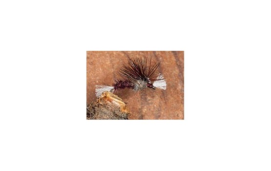 Crippled Midge Claret