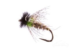 Peeking Caddis Chartreuse