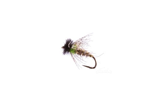 Peeking Caddis Chartreuse