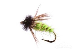 Peeking Caddis Pupa Chartreuse Reversed Colors