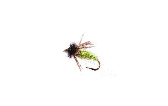 Peeking Caddis Pupa Chartreuse Reversed Colors