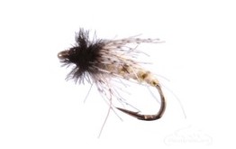 Peeking Caddis Pupa Cream