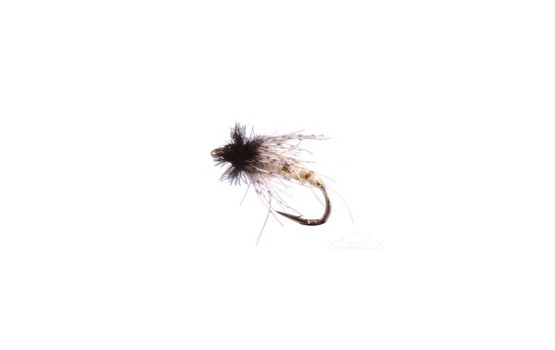 Peeking Caddis Pupa Cream