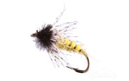 Peeking Caddis Pupa Yellow Reversed Colors