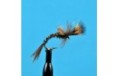 Pheasant Tail Challenged
