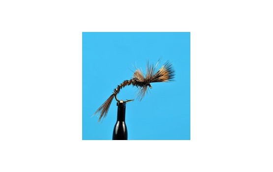 Pheasant Tail Challenged