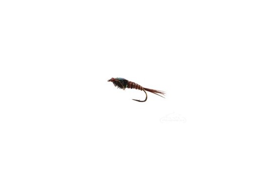 Pheasant Tail Nymph Flashback