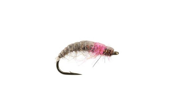 Pink Catching Czech Nymph