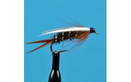 Prince Nymph