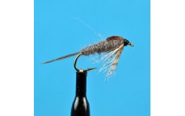 Quill Gordon Nymph