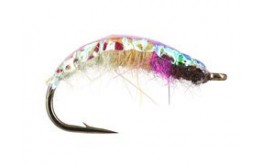Rainbow Czech Nymph