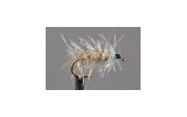 Rough Body Gold Ribbed Hares Ear