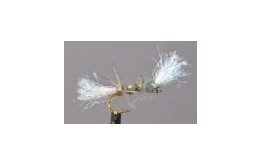 Shipmans Buzzer Hares Ear