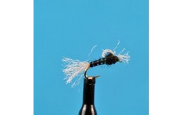 Suspended Midge Pupa Black