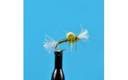 Suspended Midge Pupa Olive