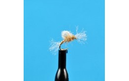 Suspended Midge Pupa Tan