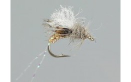 Taylors Bread and Butter