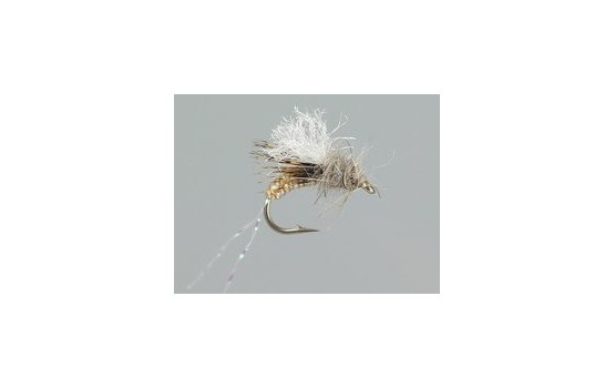 Taylors Bread and Butter