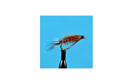 Tellico Nymph Orange