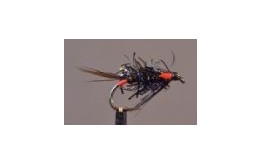 UV Black & Red Diawl Bach