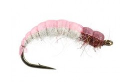 White Back Pink Czech Nymph