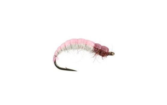 White Back Pink Czech Nymph