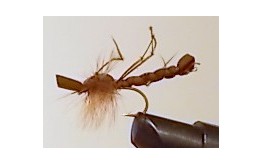 DADDY LONG LEGS FOAM BODY BROWN Dry