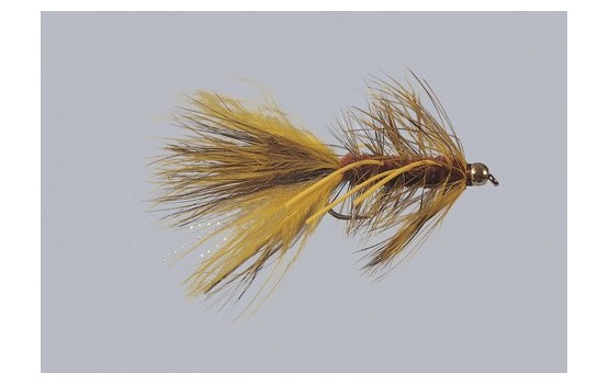 Beadhead Autumn Bugger   WTD