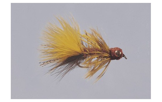 Bighorn Bugger   WTD