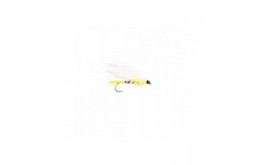 Black Ghost (Marabou)