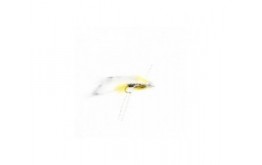 Black Ghost Fish Skull