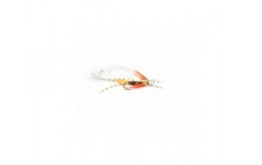 Black Ghost Sunburst Fish Skull