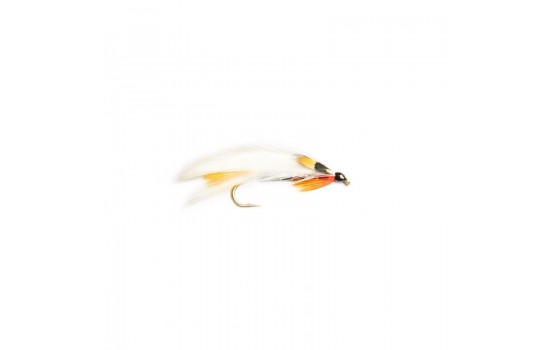 Black ghost sunburst