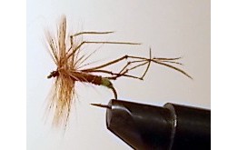 DADDY LONG LEGS LIME BUTT