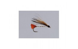 Black ghost sunburst skull straum