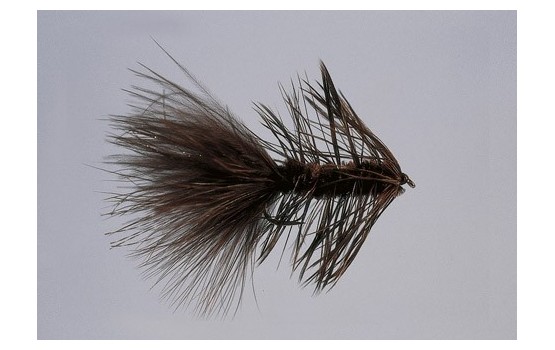 Brown Wooly Bugger   WTD