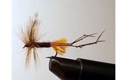 DADDY LONG LEGS RED BUTT Dry