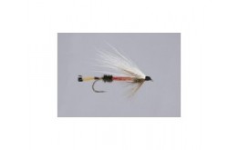 Bucktail Royal Coachman
