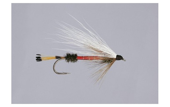 Bucktail Royal Coachman