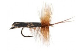 Dark Brown Horned Roof Wing