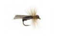 Dark Caddis