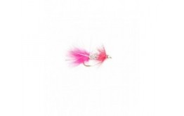 Dyrbitur bleikurstraum